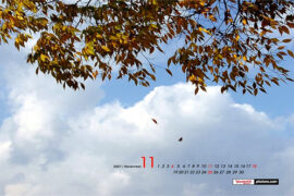 独一无二的经典句子