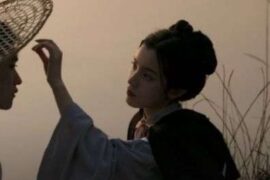 甜死人的520暖心情话