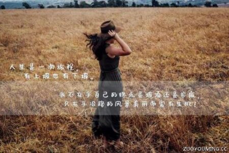 生活和工作感悟的句子