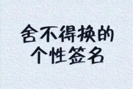 用了不想换的宝藏签名