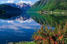 男人成熟沧桑语录