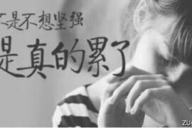 看一眼就会哭的伤感文案