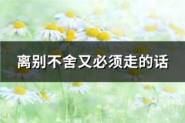离别不舍又必须走的话(推荐70句)