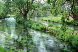 秋日余晖的诗句