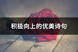 积极向上的优美诗句(36句)