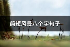 简短风景八个字句子(共59句)
