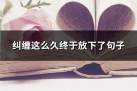 纠缠这么久终于放下了句子(共90句)