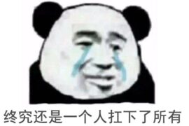 终究还是一个人扛下了所有（网络流行语）表情包
