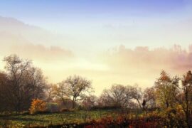 经典霸气励志句子大全