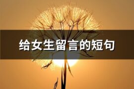 给女生留言的短句(74句)