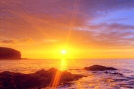 2024致生活句子经典语录