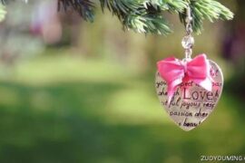 英文小众表白语句句文艺唯美