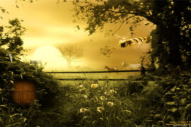 落日余晖的经典诗句