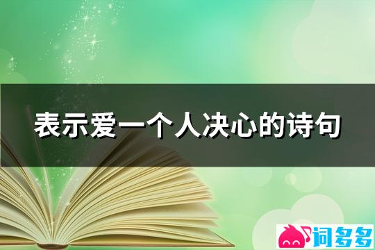 表示爱一个人决心的诗句(必备34句)