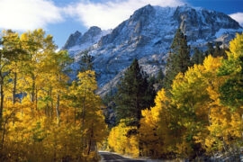 赞美秋天晚霞的诗句