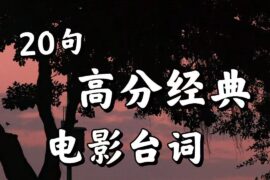 20句超级有氛围感的台词语录