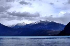 适合人生感悟的句子