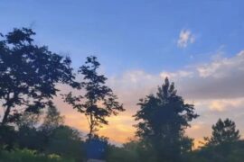 适合发到朋友圈的温柔句子