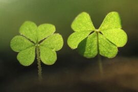 每句都可当签名的短句子