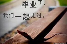 适合毕业发的煽情文案