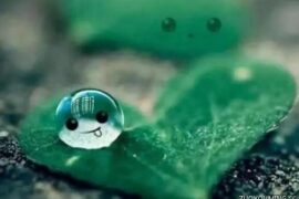 适合给孩子看的励志哲理座右铭