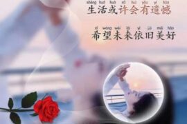 适合置顶的个性签名