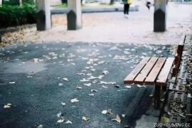 那些普普通通却能让人记好久的句子