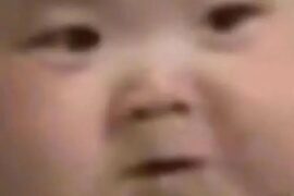 野猪行为是什么梗