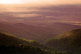 陪伴最美最浪漫的情话