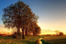 霸气高傲超冷的签名