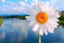 非常走心的一句话经典语录