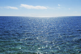 高段位撩人的话