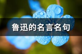 鲁迅的名言名句(精选240句)