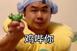 鸡哔你什么梗（表情包）