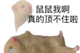 鼠鼠我呀是什么梗？
