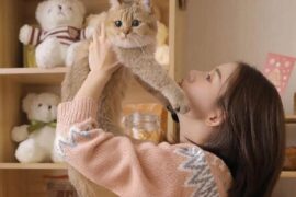 qq个性签名伤感暗恋