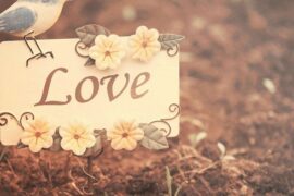 2025最火的情感语录（唯美爱情短句）