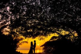 钟情于一人的诗句文案