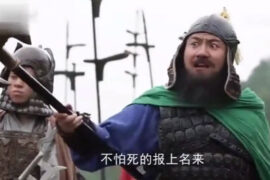 上将潘凤是什么意思？