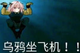 乌鸦坐飞机是什么梗？乌鸦坐飞机的意思详解