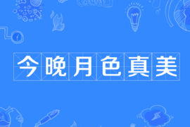 今晚月色真美是什么意思？下一句应该是什么