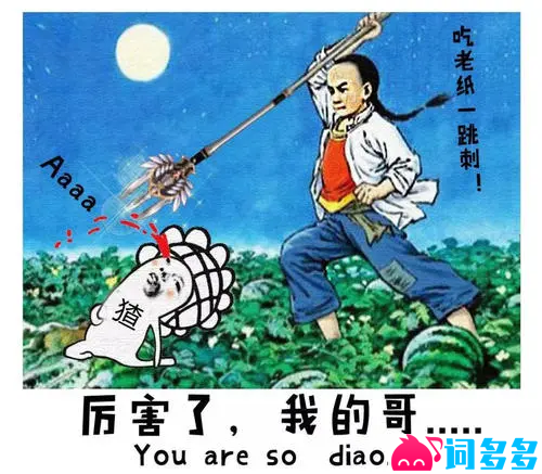 你是闰土我是猹什么梗？有何言外之意