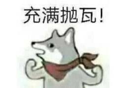 充满抛瓦是什么梗？充满抛瓦小狗表情包