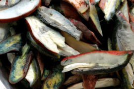 凉拌见手青是什么梗？凉拌见手青的意思详解