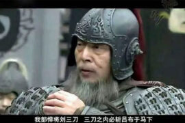 三国悍将刘三刀是什么梗？刘刕lí简介