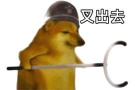 叉出去是什么梗？（附叉出去柴犬表情包）