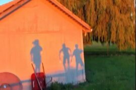 唯美精辟简短的哲理句子