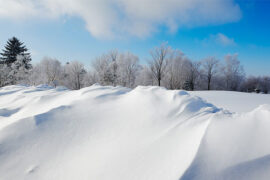 塞北的雪是什么梗？塞北的雪的意思详解