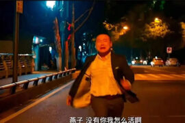 燕子没有你我可怎么活是什么梗？（附完整台词）