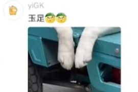 玉足是什么意思，狱卒是什么梗？